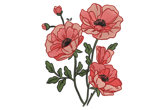 Poppy Flowers